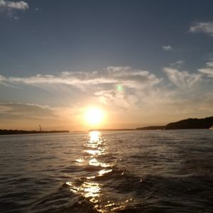 Meet your Posher, Cathy